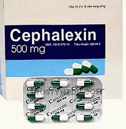 Cephalexin