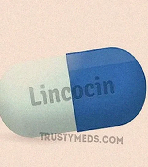 Lincocin